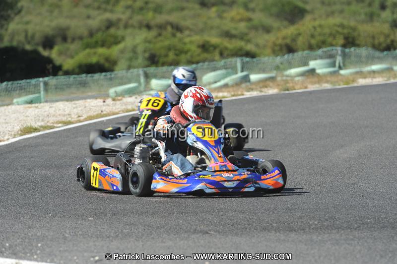 DSC (2833).JPG